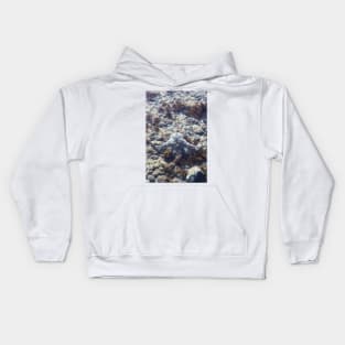 Stingray Kids Hoodie